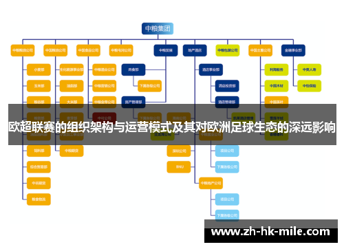 欧超联赛的组织架构与运营模式及其对欧洲足球生态的深远影响 欧超联赛的组织架构与运营模式及其对欧洲足球生态的深远影响